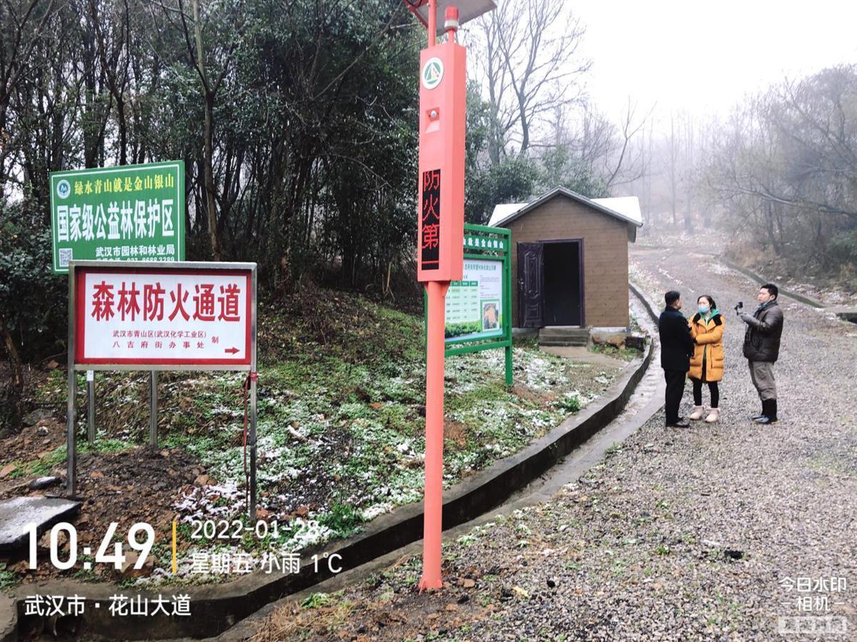 武漢織密森林“防火網(wǎng)”！千余護林員每日巡查 智能攝像頭監(jiān)控90萬畝生態(tài)林