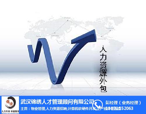 it外包市場分析及營銷模式探討_it外包維護方案_it技術外包