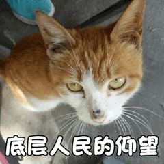 信息安全運維服務_服務器運維_it運維服務管理體系