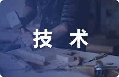 IT技術人員職業(yè)生涯路徑探析