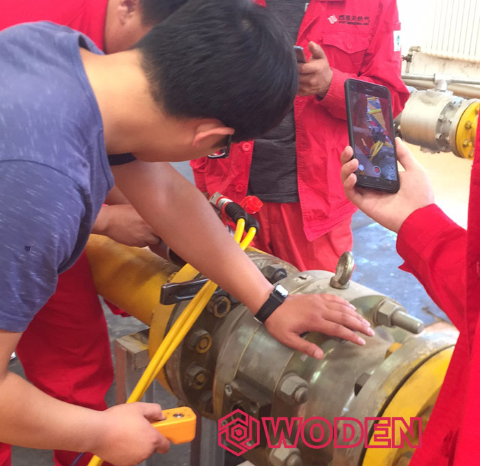 “法蘭完整性管理”在石化行業發揮重要的作用